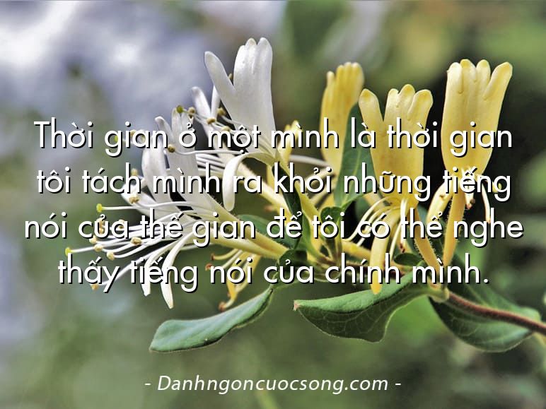 Thời gian ở một mình là thời gian tôi tách mình ra khỏi những tiếng nói của thế gian để tôi có thể nghe thấy tiếng nói của chính mình.