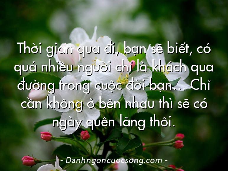Thời gian qua đi, bạn sẽ biết, có quá nhiều người chỉ là khách qua đường trong cuộc đời bạn… Chỉ cần không ở bên nhau thì sẽ có ngày quên lãng thôi.