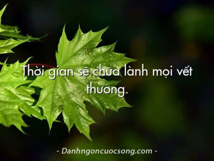 Thời gian sẽ chữa lành mọi vết thương.