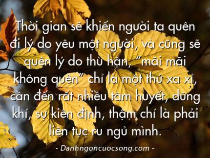 Thời gian sẽ khiến người ta quên đi lý do yêu một người, và cũng sẽ quên lý do thù hận, “mãi mãi không quên” chỉ là một thứ xa xỉ, cần đến rất nhiều tâm huyết, dũng khí, sự kiên định, thậm chí là phải liên tục ru ngủ mình.