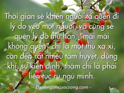 Thời gian sẽ khiến người ta quên đi lý do yêu một người, và cũng sẽ quên lý do thù hận, "mãi mãi không quên" chỉ là một thứ xa xỉ, cần đến rất nhiều tâm huyết, dũng khí, sự kiên định, thậm chí là phải liên tục ru ngủ mình.
