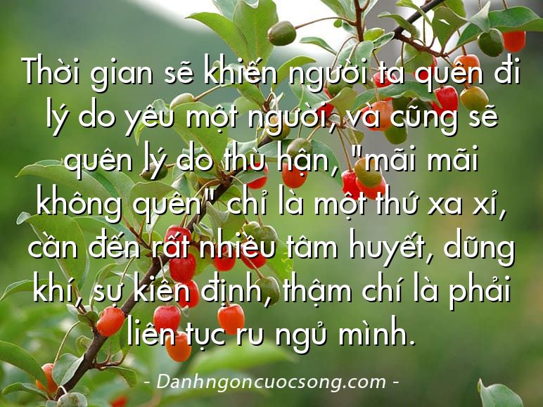 Thời gian sẽ khiến người ta quên đi lý do yêu một người, và cũng sẽ quên lý do thù hận, "mãi mãi không quên" chỉ là một thứ xa xỉ, cần đến rất nhiều tâm huyết, dũng khí, sự kiên định, thậm chí là phải liên tục ru ngủ mình.