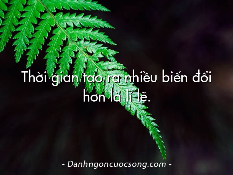 Thời gian tạo ra nhiều biến đổi hơn là lí lẽ.