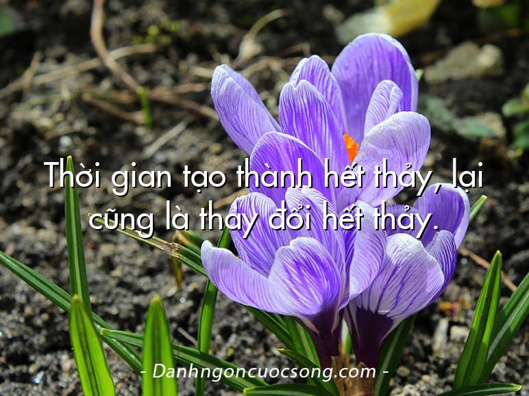 Thời gian tạo thành hết thảy, lại cũng là thay đổi hết thảy.