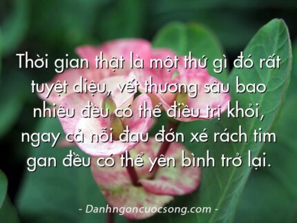 Thời gian thật là một thứ gì đó rất tuyệt diệu, vết thương sâu bao nhiêu đều có thể điều trị khỏi, ngay cả nỗi đau đớn xé rách tim gan đều có thể yên bình trở lại.