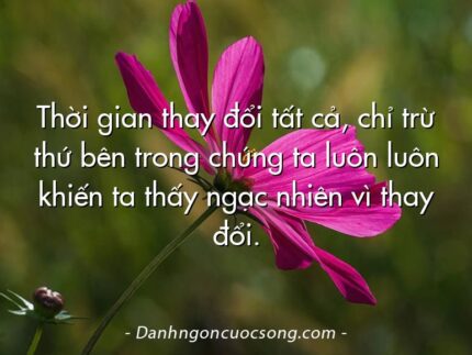 Thời gian thay đổi tất cả, chỉ trừ thứ bên trong chúng ta luôn luôn khiến ta thấy ngạc nhiên vì thay đổi.
