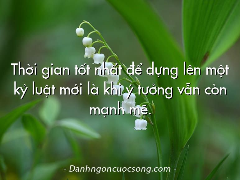 Thời gian tốt nhất để dựng lên một kỷ luật mới là khi ý tưởng vẫn còn mạnh mẽ.