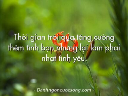 Thời gian trôi qua tăng cường thêm tình bạn nhưng lại làm phai nhạt tình yêu.