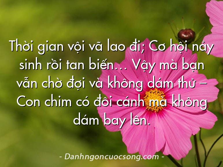 Thời gian vội vã lao đi; Cơ hội nảy sinh rồi tan biến… Vậy mà bạn vẫn chờ đợi và không dám thử – Con chim có đôi cánh mà không dám bay lên.