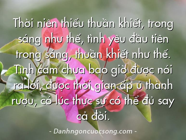 Thời niên thiếu thuần khiết, trong sáng như thế, tình yêu đầu tiên trong sáng, thuần khiết như thế. Tình cảm chưa bao giờ được nói ra lời, được thời gian ấp ủ thành rượu, có lúc thực sự có thể đủ say cả đời.