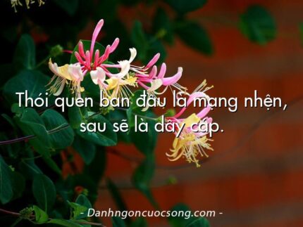 Thói quen ban đầu là mạng nhện, sau sẽ là dây cáp.