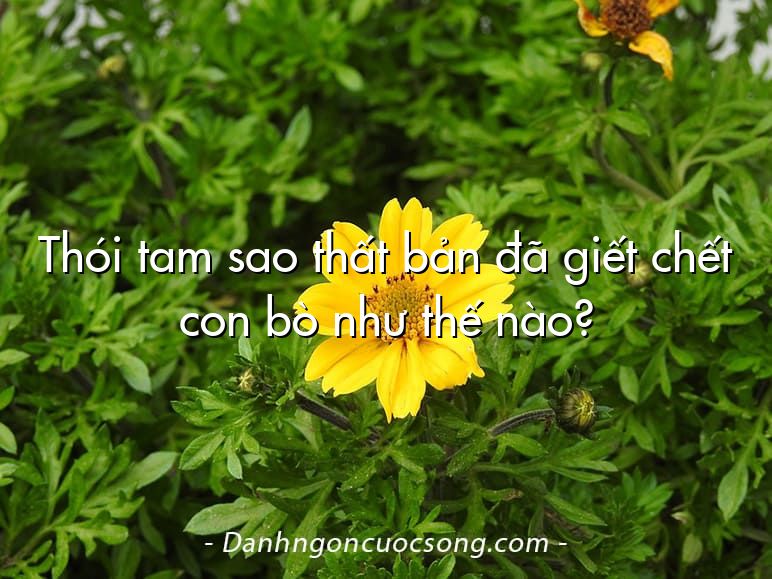 Thói tam sao thất bản đã giết chết con bò như thế nào?
