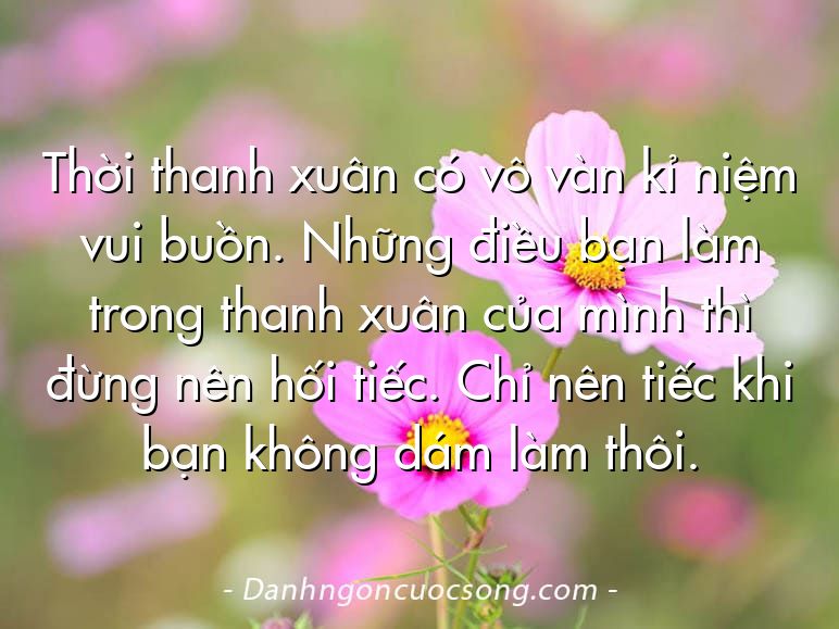 Thời thanh xuân có vô vàn kỉ niệm vui buồn. Những điều bạn làm trong thanh xuân của mình thì đừng nên hối tiếc. Chỉ nên tiếc khi bạn không dám làm thôi.