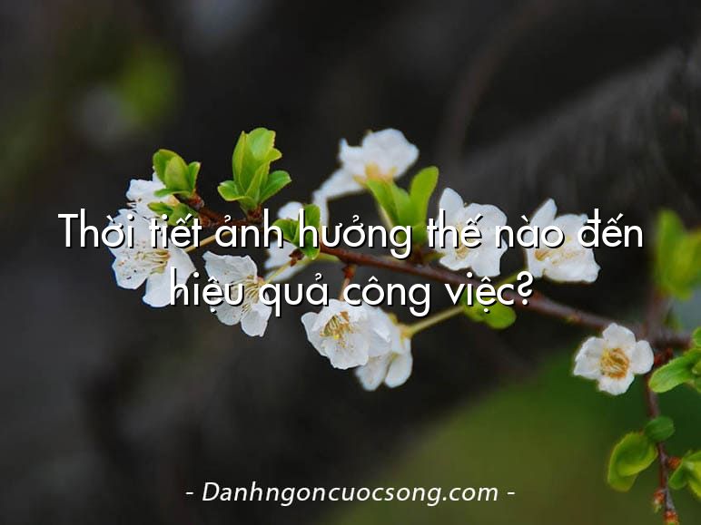 Thời tiết ảnh hưởng thế nào đến hiệu quả công việc?