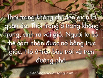 Thời trang không chỉ đơn giản là quần áo. Thời trang ở trong không trung, sinh ra với gió. Người ta có thể cảm nhận được nó bằng trực giác. Nó ở trên bầu trời và trên đường phố.