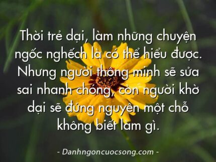 Thời trẻ dại, làm những chuyện ngốc nghếch là có thể hiểu được. Nhưng người thông minh sẽ sửa sai nhanh chóng, còn người khờ dại sẽ đứng nguyên một chỗ không biết làm gì.