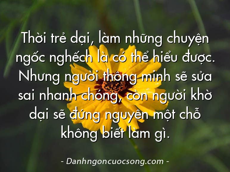 Thời trẻ dại, làm những chuyện ngốc nghếch là có thể hiểu được. Nhưng người thông minh sẽ sửa sai nhanh chóng, còn người khờ dại sẽ đứng nguyên một chỗ không biết làm gì.