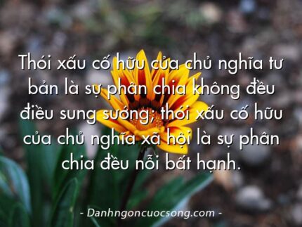 Thói xấu cố hữu của chủ nghĩa tư bản là sự phân chia không đều điều sung sướng; thói xấu cố hữu của chủ nghĩa xã hội là sự phân chia đều nỗi bất hạnh.