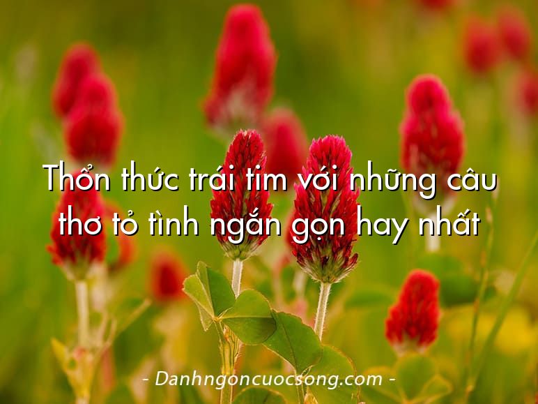 Thổn thức trái tim với những câu thơ tỏ tình ngắn gọn hay nhất