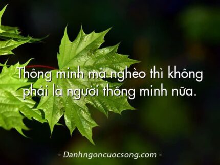 Thông minh mà nghèo thì không phải là người thông minh nữa.