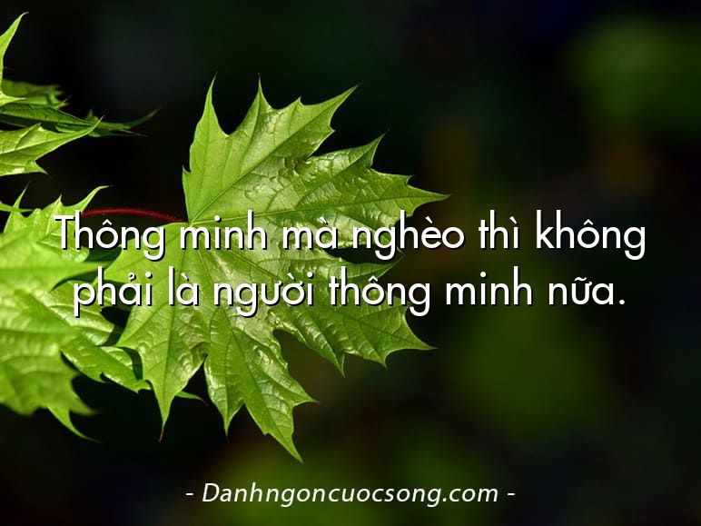 Thông minh mà nghèo thì không phải là người thông minh nữa.