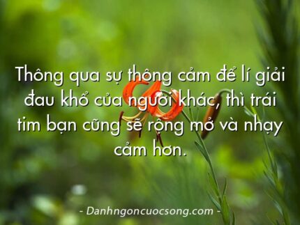 Thông qua sự thông cảm để lí giải đau khổ của người khác, thì trái tim bạn cũng sẽ rộng mở và nhạy cảm hơn.