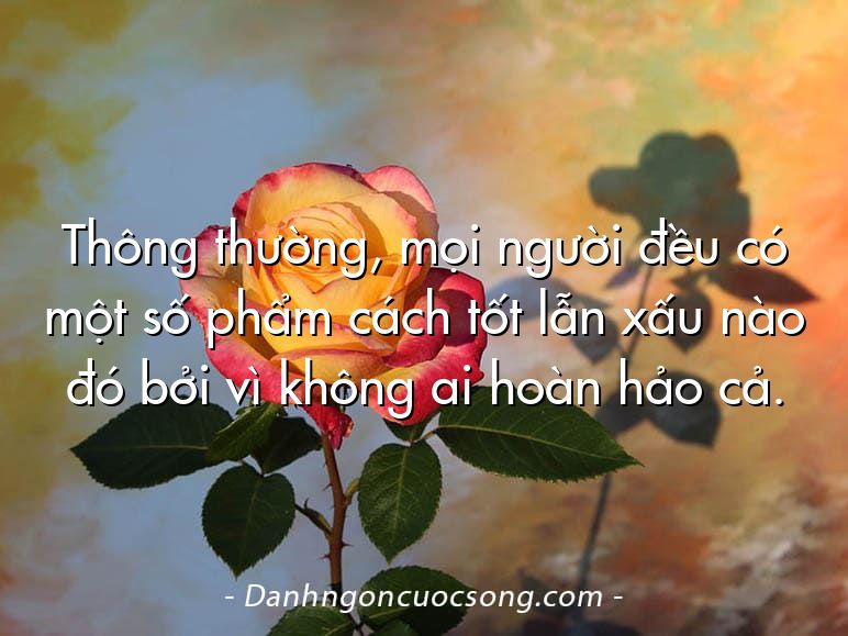 Thông thường, mọi người đều có một số phẩm cách tốt lẫn xấu nào đó bởi vì không ai hoàn hảo cả.