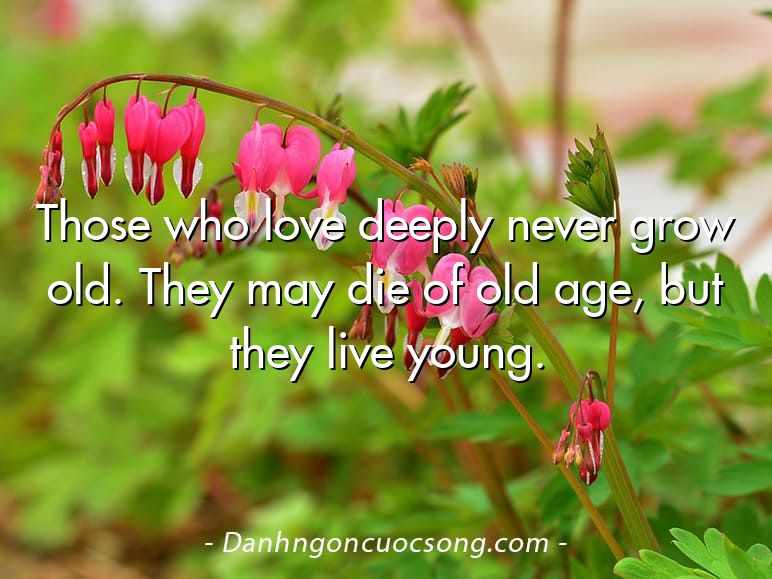 Those who love deeply never grow old. They may die of old age, but they live young.