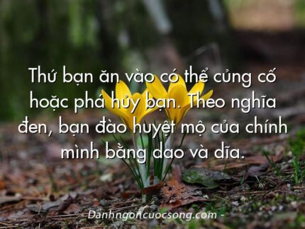 Thứ bạn ăn vào có thể củng cố hoặc phá hủy bạn. Theo nghĩa đen, bạn đào huyệt mộ của chính mình bằng dao và dĩa.