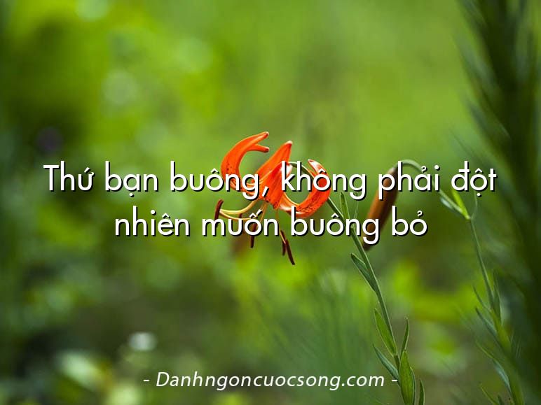Thứ bạn buông, không phải đột nhiên muốn buông bỏ
