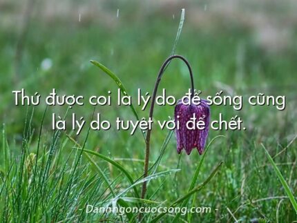 Thứ được coi là lý do để sống cũng là lý do tuyệt vời để chết.