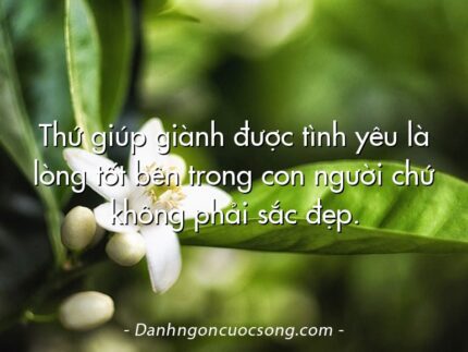 Thứ giúp giành được tình yêu là lòng tốt bên trong con người chứ không phải sắc đẹp.