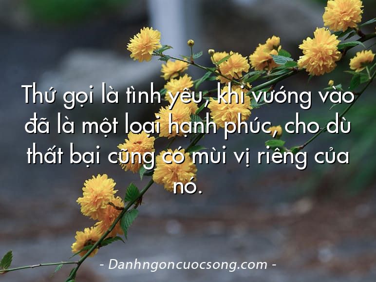 Thứ gọi là tình yêu, khi vướng vào đã là một loại hạnh phúc, cho dù thất bại cũng có mùi vị riêng của nó.