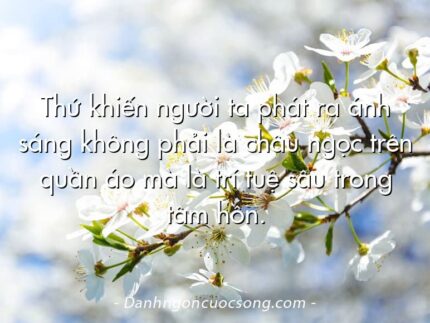Thứ khiến người ta phát ra ánh sáng không phải là châu ngọc trên quần áo mà là trí tuệ sâu trong tâm hồn.