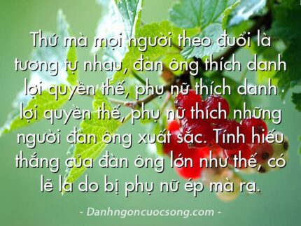 Thứ mà mọi người theo đuổi là tương tự nhau, đàn ông thích danh lợi quyền thế, phụ nữ thích danh lợi quyền thế, phụ nữ thích những người đàn ông xuất sắc. Tính hiếu thắng của đàn ông lớn như thế, có lẽ là do bị phụ nữ ép mà ra.