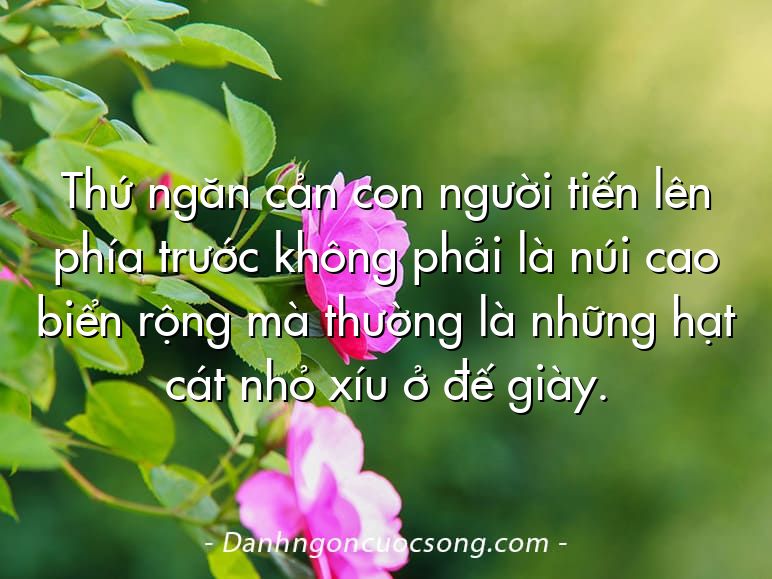 Thứ ngăn cản con người tiến lên phía trước không phải là núi cao biển rộng mà thường là những hạt cát nhỏ xíu ở đế giày.