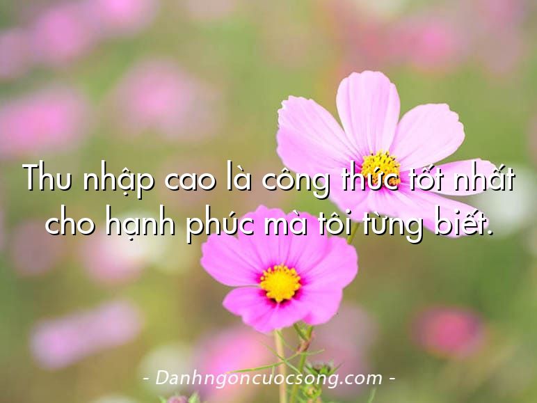 Thu nhập cao là công thức tốt nhất cho hạnh phúc mà tôi từng biết.