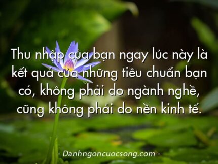 Thu nhập của bạn ngay lúc này là kết quả của những tiêu chuẩn bạn có, không phải do ngành nghề, cũng không phải do nền kinh tế.