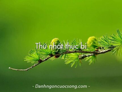 Thứ nhất thục bi