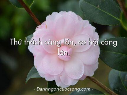 Thử thách càng lớn, cơ hội càng lớn.