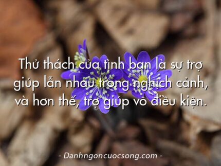 Thử thách của tình bạn là sự trợ giúp lẫn nhau trong nghịch cảnh, và hơn thế, trợ giúp vô điều kiện.