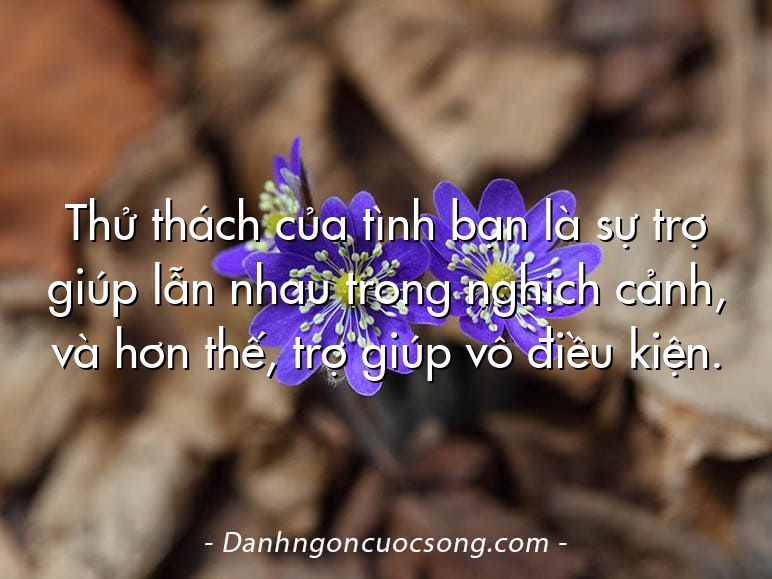 Thử thách của tình bạn là sự trợ giúp lẫn nhau trong nghịch cảnh, và hơn thế, trợ giúp vô điều kiện.
