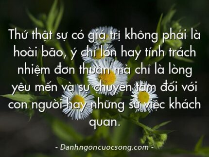 Thứ thật sự có giá trị không phải là hoài bão, ý chí lớn hay tính trách nhiệm đơn thuần mà chỉ là lòng yêu mến và sự chuyên tâm đối với con người hay những sự việc khách quan.