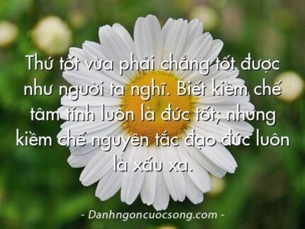 Thứ tốt vừa phải chẳng tốt được như người ta nghĩ. Biết kiềm chế tâm tính luôn là đức tốt; nhưng kiềm chế nguyên tắc đạo đức luôn là xấu xa.