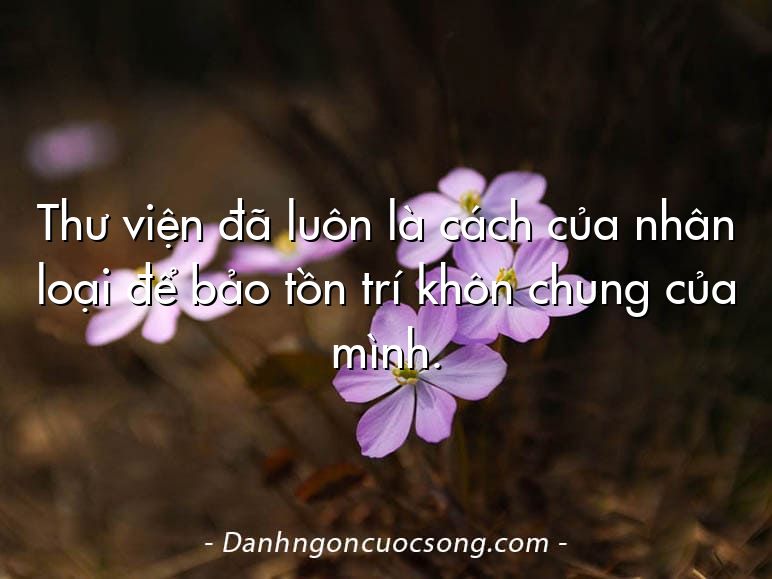 Thư viện đã luôn là cách của nhân loại để bảo tồn trí khôn chung của mình.