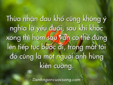 Thừa nhận đau khổ cũng không ý nghĩa là yếu đuối, sau khi khóc xong thì hôm sau vẫn có thể đứng lên tiếp tục bước đi, trong mắt tôi đó cũng là một người anh hùng kiên cường.