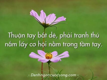 Thuận tay bắt dê, phải tranh thủ nắm lấy cơ hội nằm trong tầm tay.