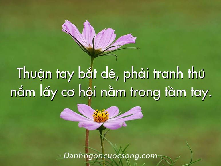 Thuận tay bắt dê, phải tranh thủ nắm lấy cơ hội nằm trong tầm tay.