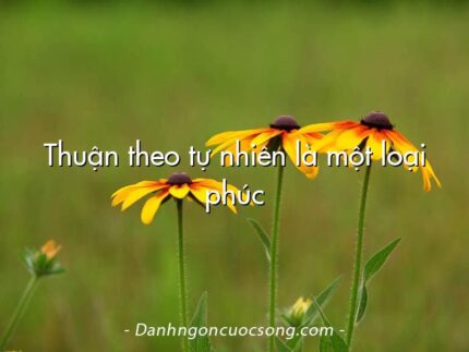 Thuận theo tự nhiên là một loại phúc
