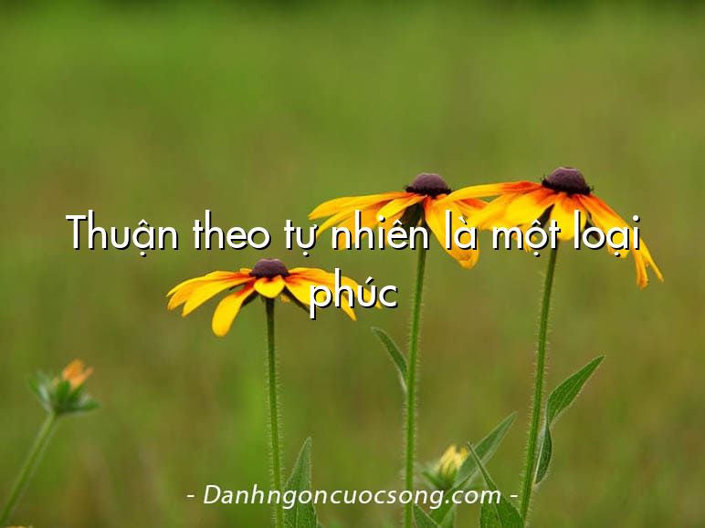 Thuận theo tự nhiên là một loại phúc